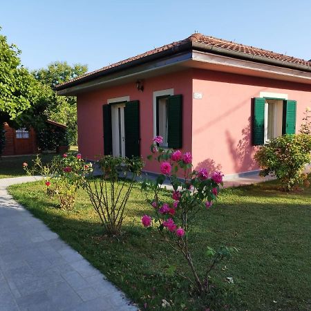 La Casina Villa Barga Exteriör bild