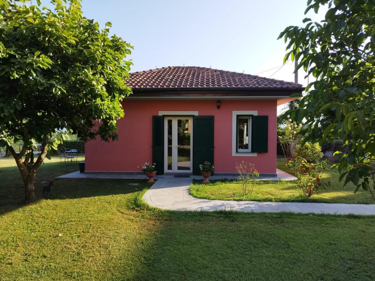 La Casina Villa Barga Exteriör bild