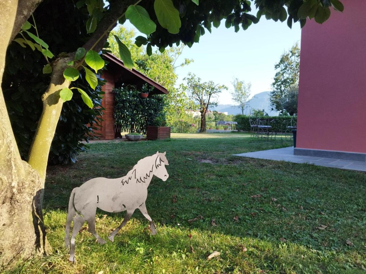 La Casina Villa Barga Exteriör bild